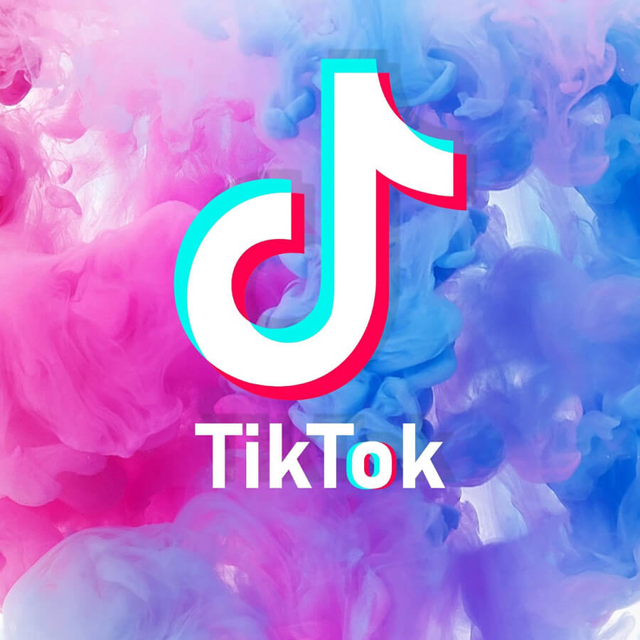 TikTokの動画の特徴